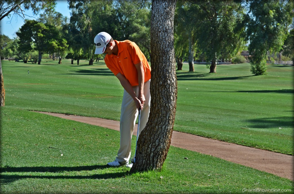 Limited follow through hitting tree front