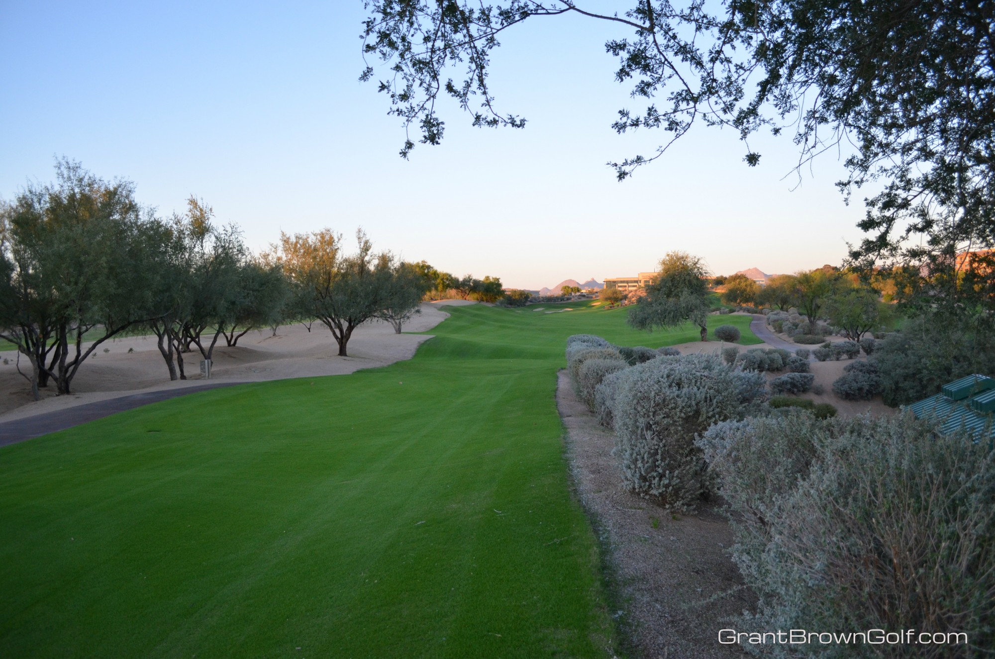 Eliminating Distractions on the Golf Course - Grant Brown Golf